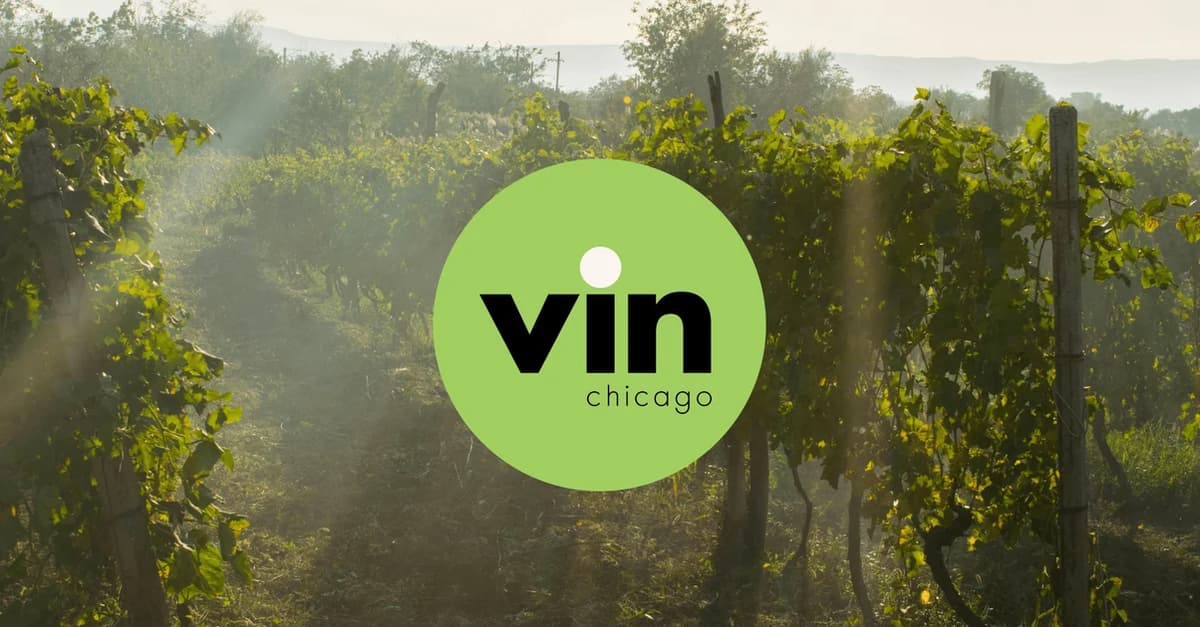 Vin Chicago