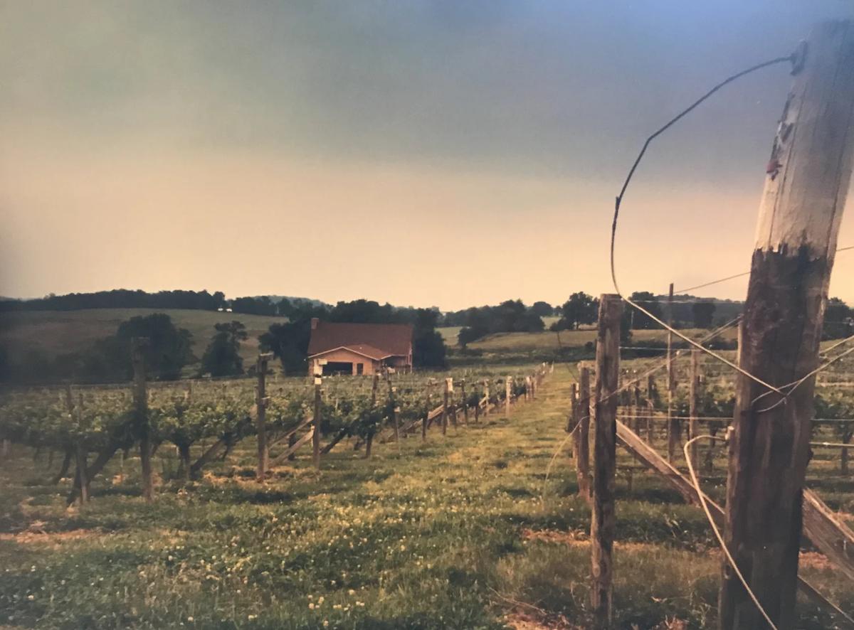 Loew Vineyards