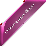 L'Chaim Catering (Pesach & Glatt Kosher Programs)