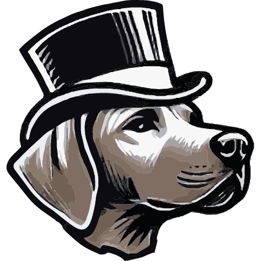 Big Dawg Party Rentals