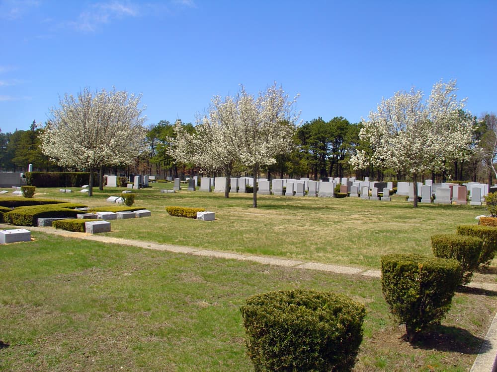 Wellwood Beth Moses Cemetery Memorials Office