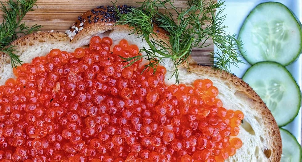 Lox at the Museum of Jewish Heritage