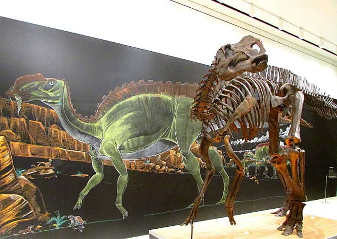 New Jersey State Museum