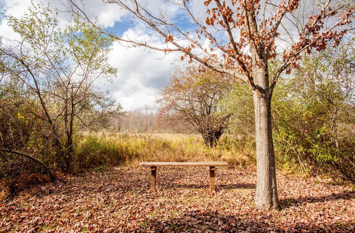 Peace Valley Park