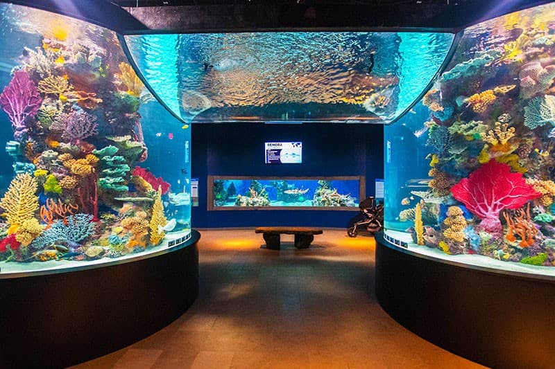 Electric City Aquarium & Reptile Den