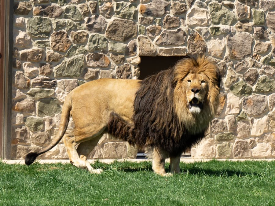 Lake Tobias Wildlife Park
