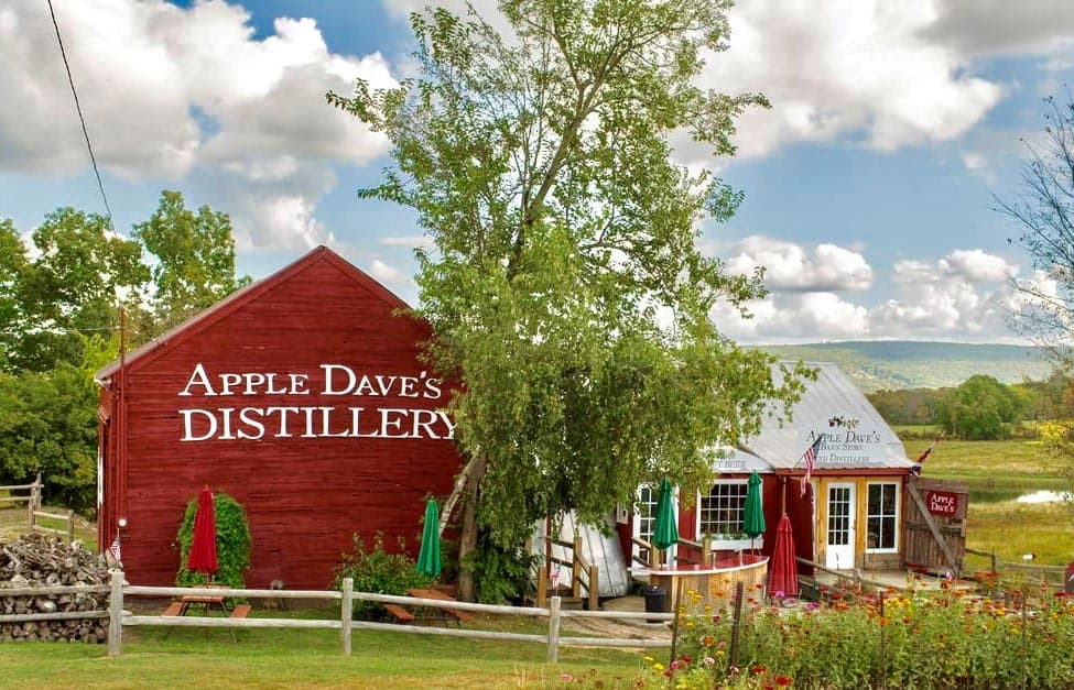 Apple Dave's Orchard