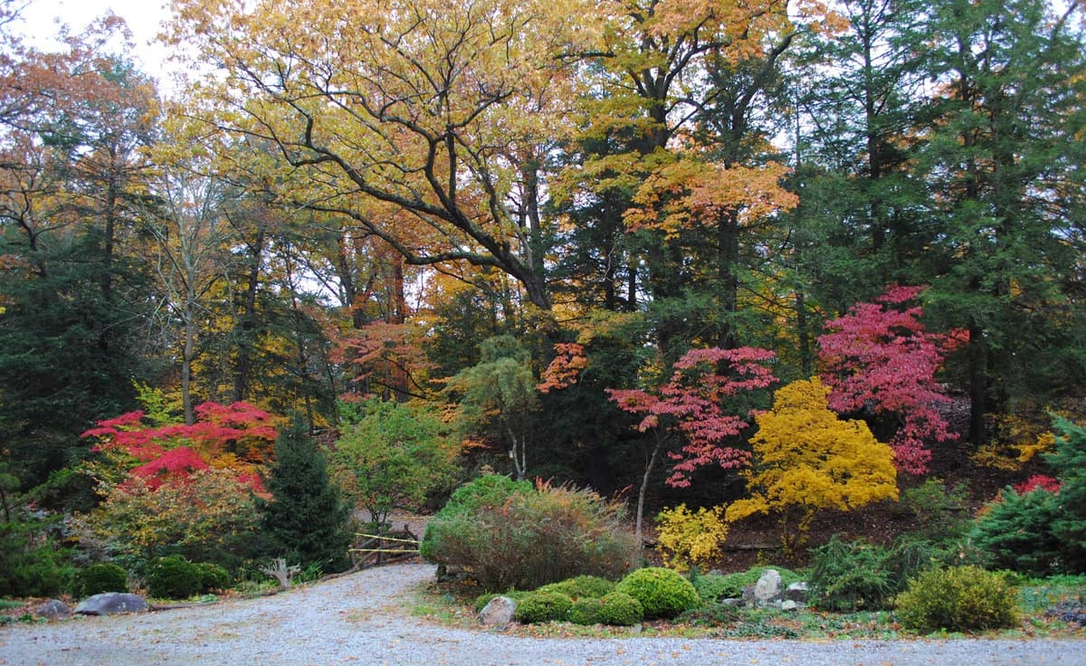 Laurelwood Arboretum