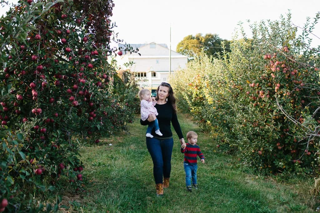 Sun High Orchards