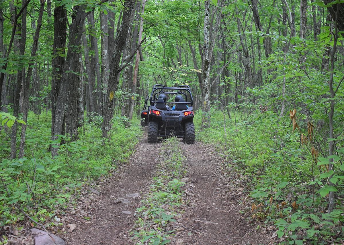Pocono Outdoor Adventure Tours