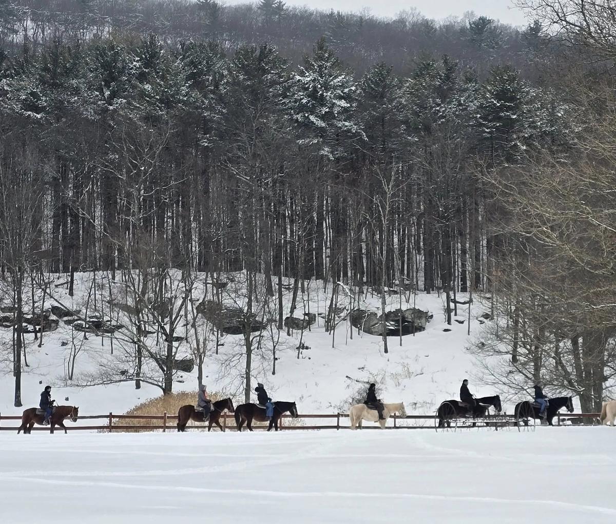 Bailiwick Animal Park & Riding Stables