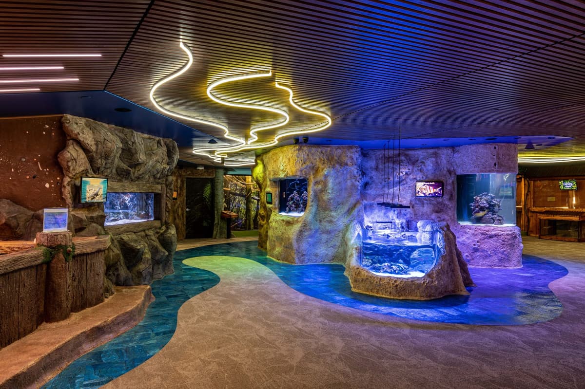 Jenkinson's Aquarium