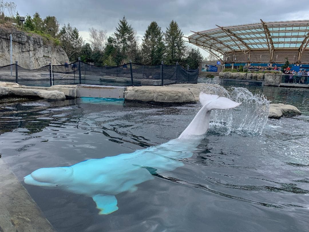Mystic Aquarium
