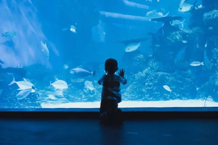 Woodbridge Aquarium & Wildlife Center