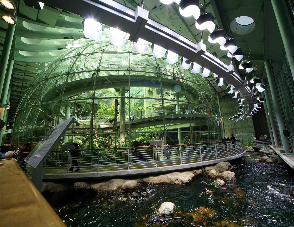 California Academy of Sciences