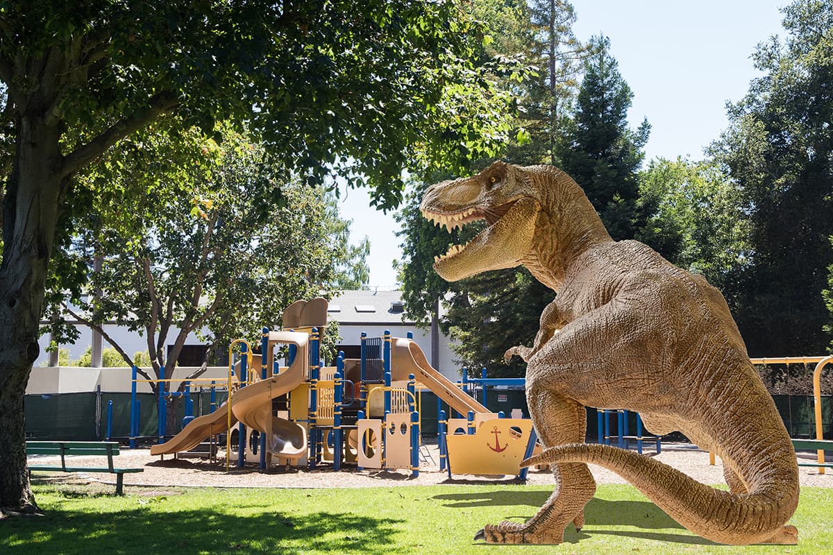 Palo Alto Junior Museum & Zoo