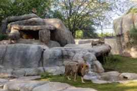 Zoo Atlanta