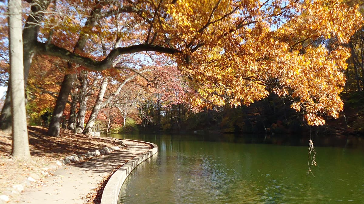 Echo Lake Park