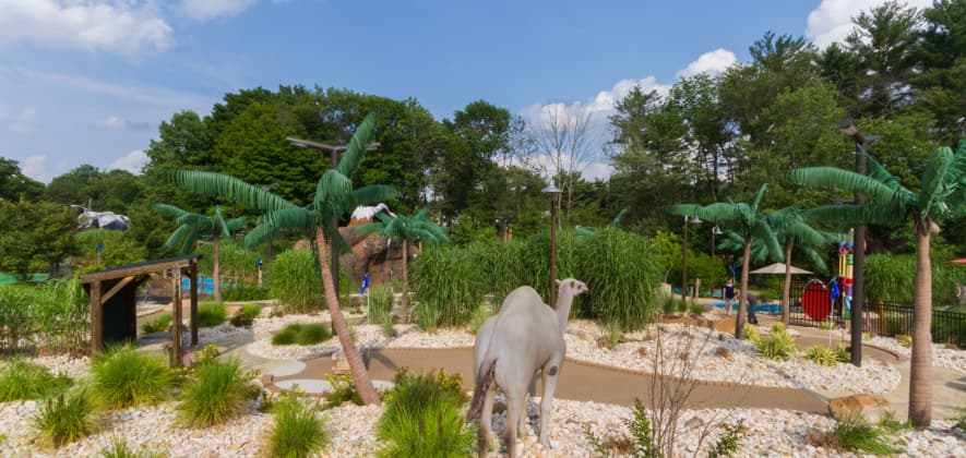 Safari MiniGolf