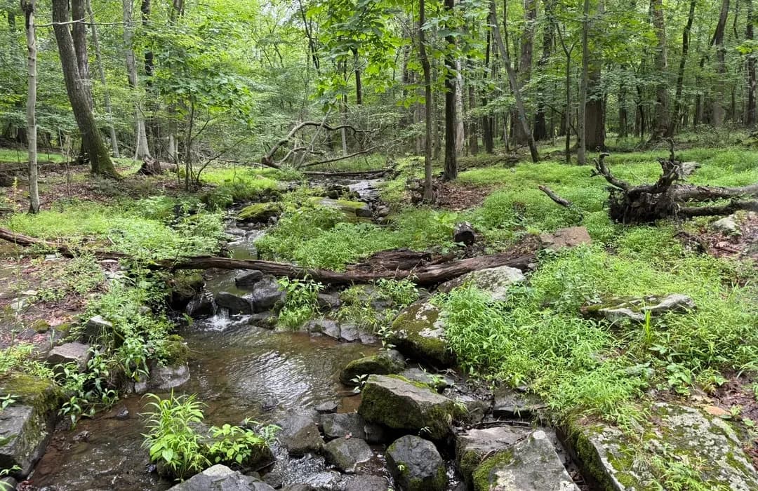 Blauvelt State Park