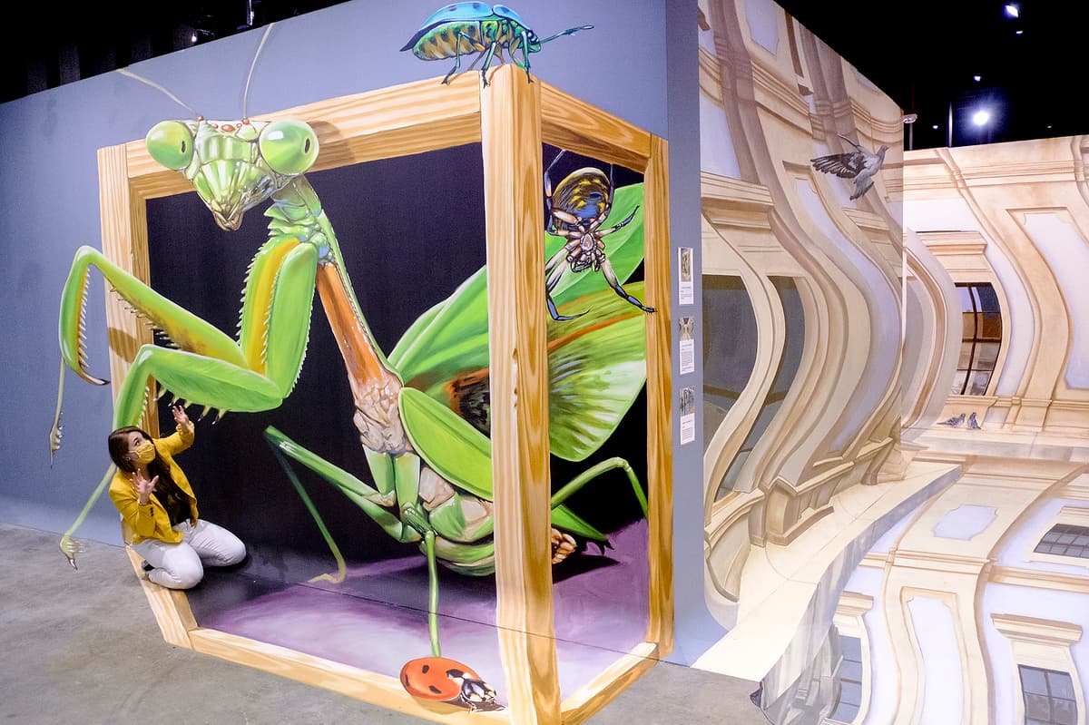 TiLT 3D Art Experience