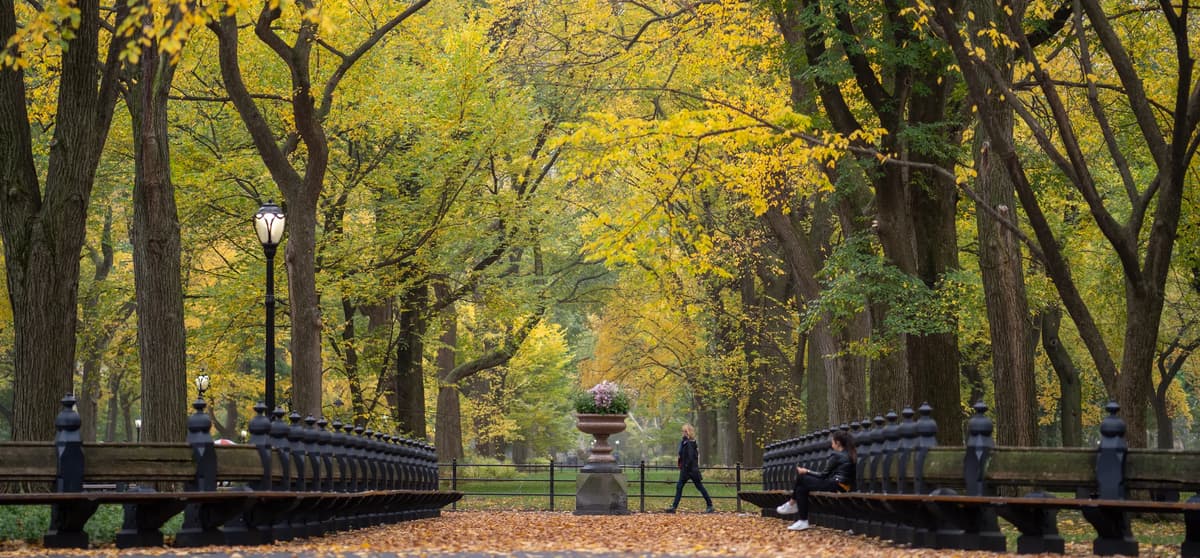 Central Park