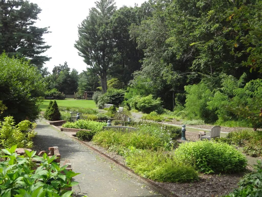 Dutch Gardens