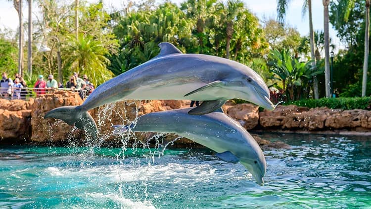 SeaWorld San Diego