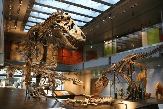 Natural History Museum of Los Angeles