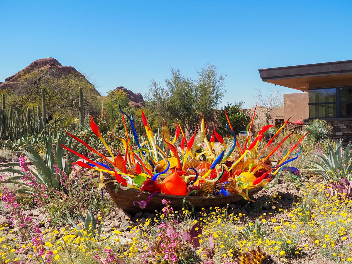 Desert Botanical Garden