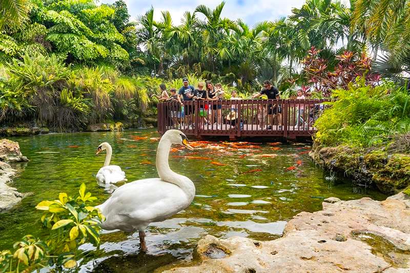 By Brothers Family Park