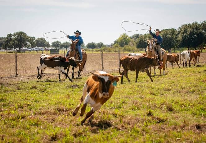 The George Ranch