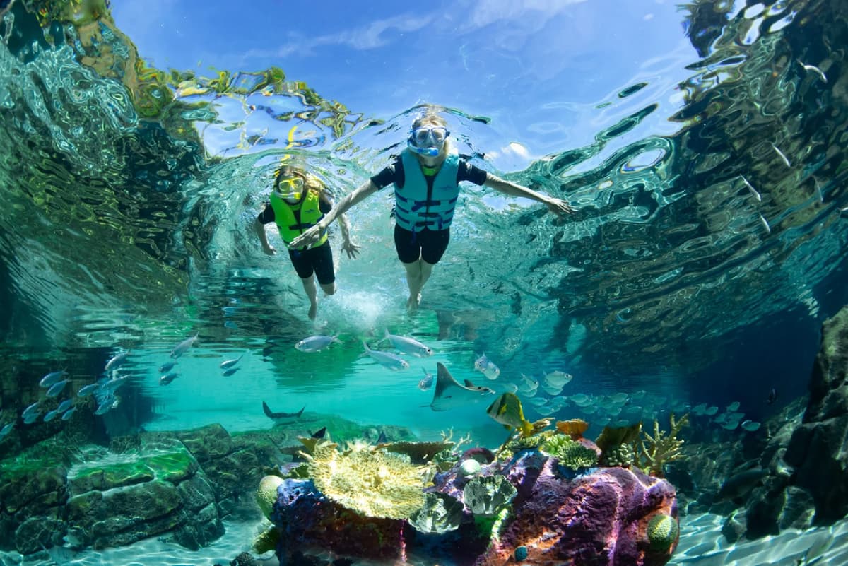 Discovery Cove Orlando