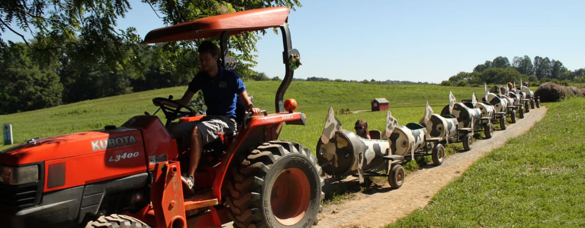 Clark's Elioak Farm
