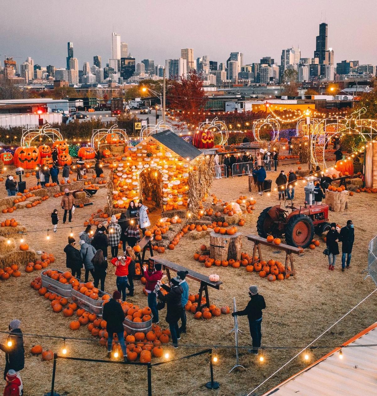 Jack's Pumpkin Pop-Up