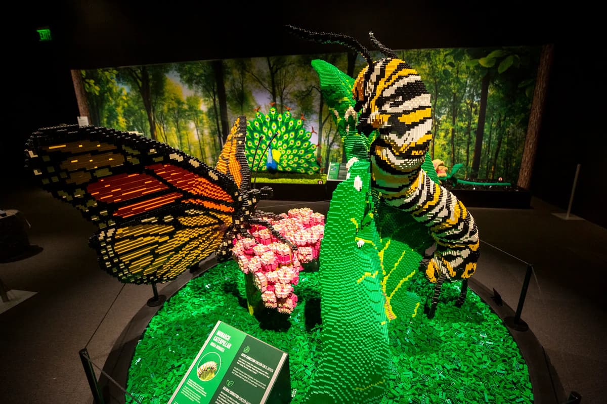 Denver Museum of Nature & Science