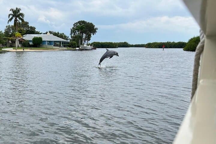 Cocoa Beach Dolphin Tours