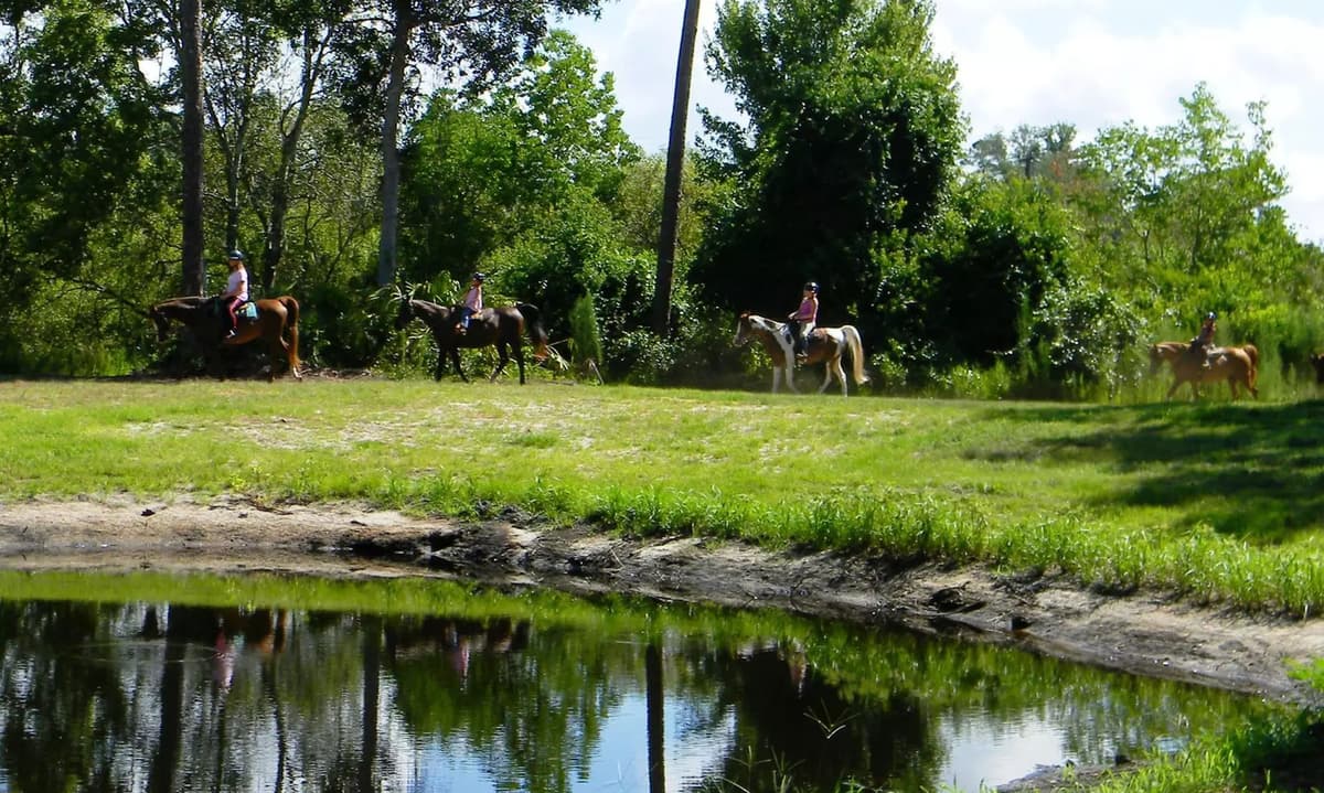 Equestrian Quest Stables