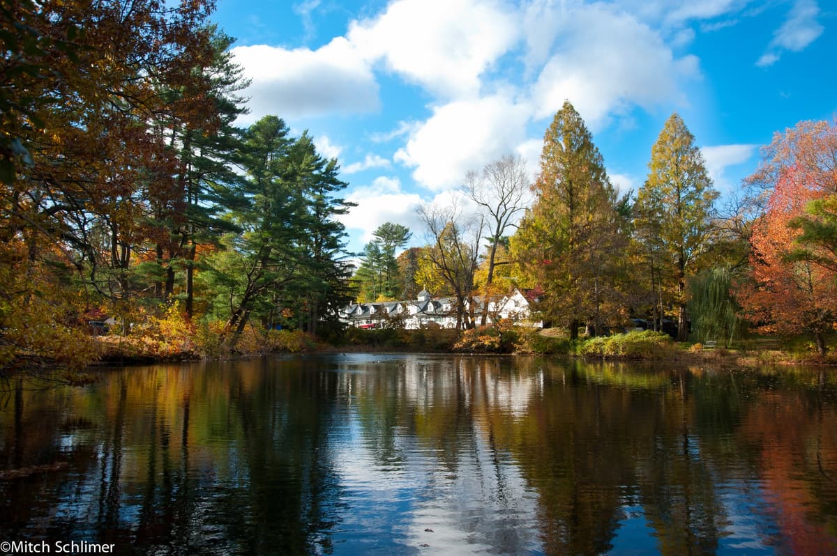 Bailey Arboretum