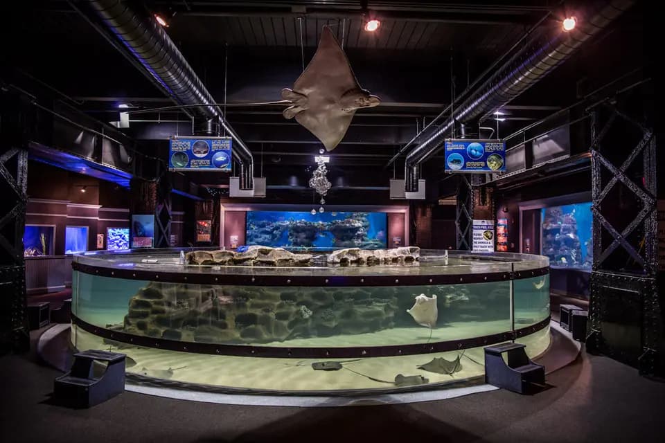 Greater Cleveland Aquarium