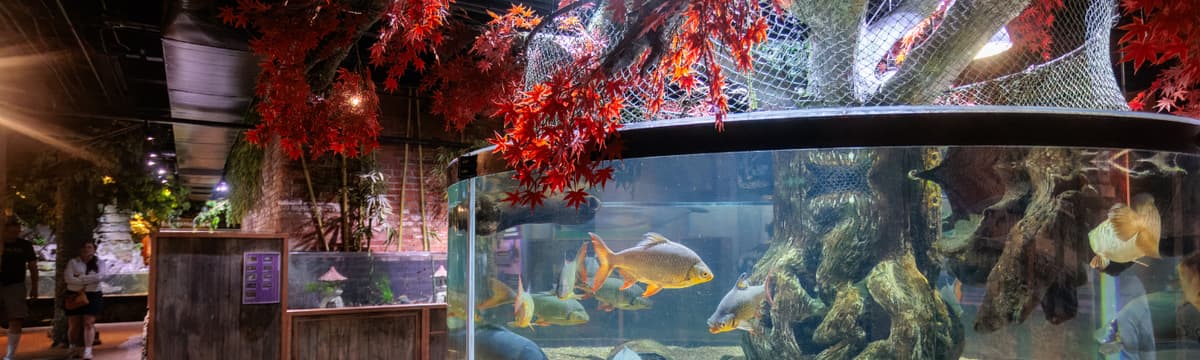 Greater Cleveland Aquarium