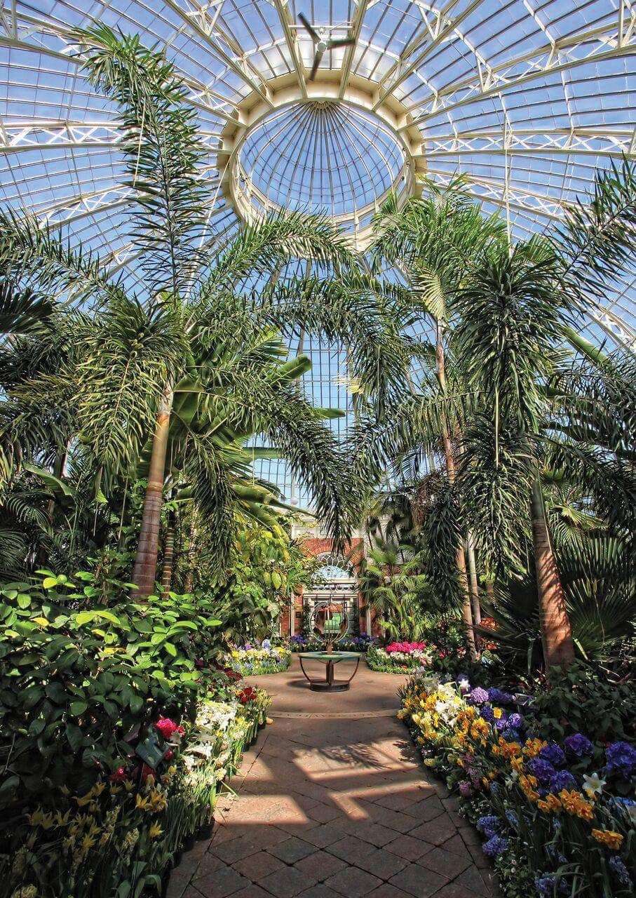 Buffalo and Erie County Botanical Gardens