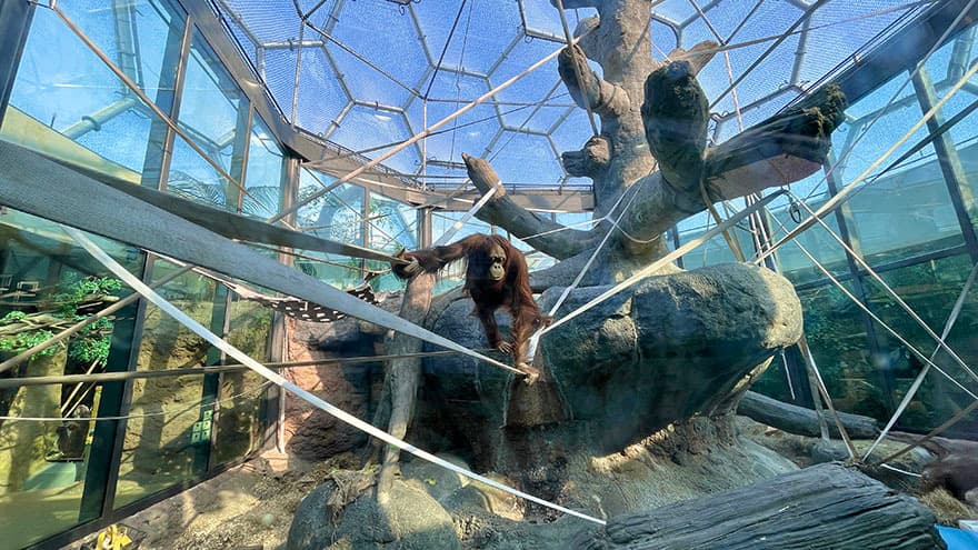 Cleveland Metroparks Zoo