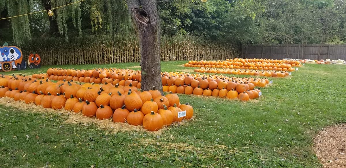 Kroll's Fall Harvest Farm