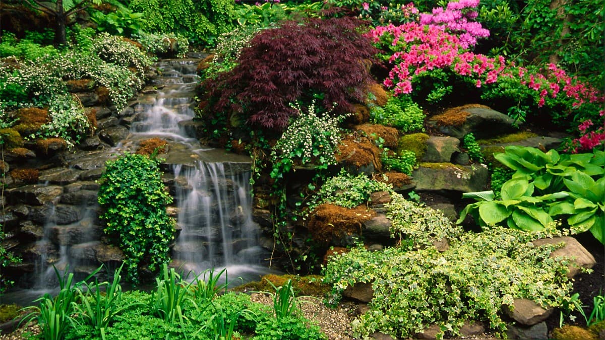 Cleveland Botanical Garden