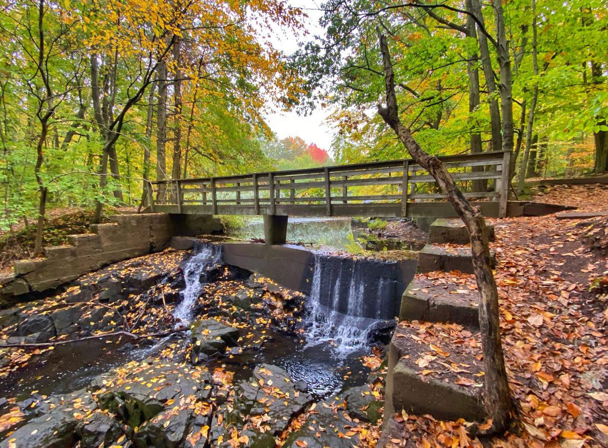 Flat Rock Brook Nature Center