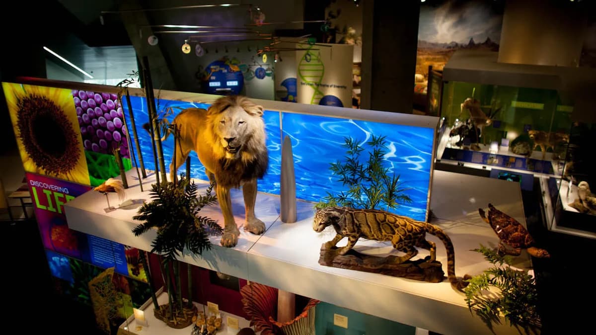 Perot Museum of Nature and Science