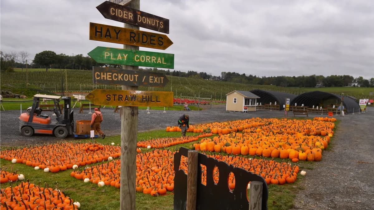 Grim's Orchard & Family Farms