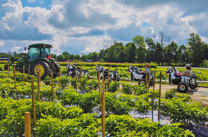Lakeland Orchard & Cidery