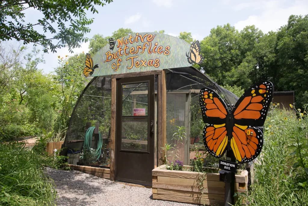 Heard Natural Science Museum & Wildlife Sanctuary
